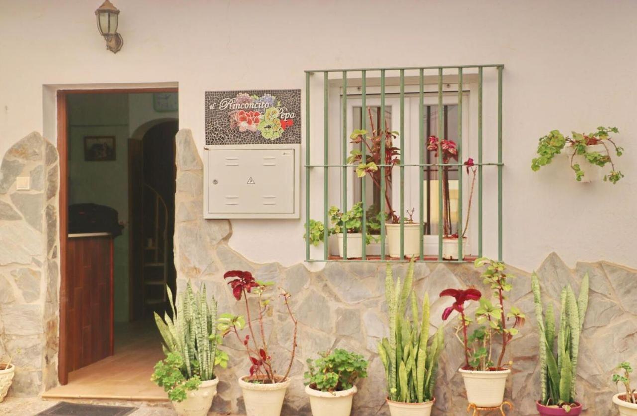 Apartmán El Rinconcito De Pepa II Conil De La Frontera Exteriér fotografie